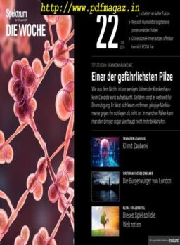 Spektrum Die Woche – 31 Mai 2019