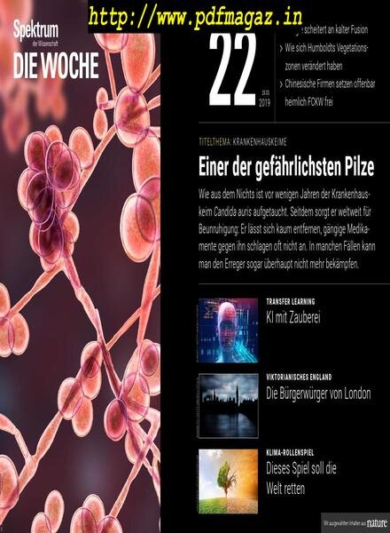 Spektrum Die Woche – 31 Mai 2019 Cover