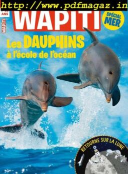 Wapiti – Juillet 2019