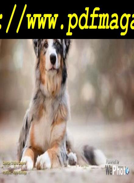 WePhoto – A proposito di fotografia – Volume 1 Giugno 2019 Cover