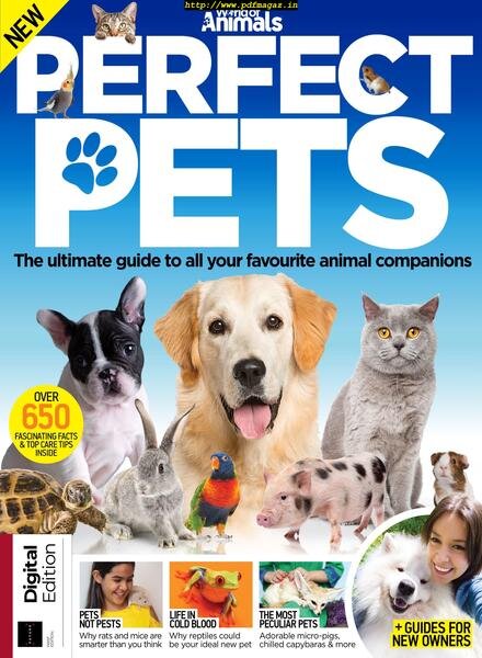 World of Animals Perfect Pets – May 2019 Cover