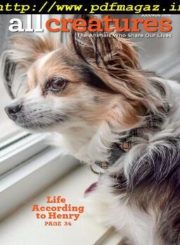 All Creatures – July 2019