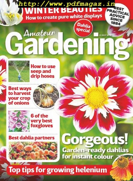 Amateur Gardening – 16 July 2019 Cover