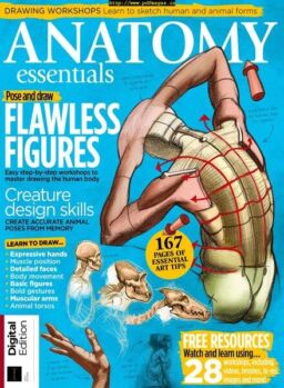Anatomy Essentials – June 2019