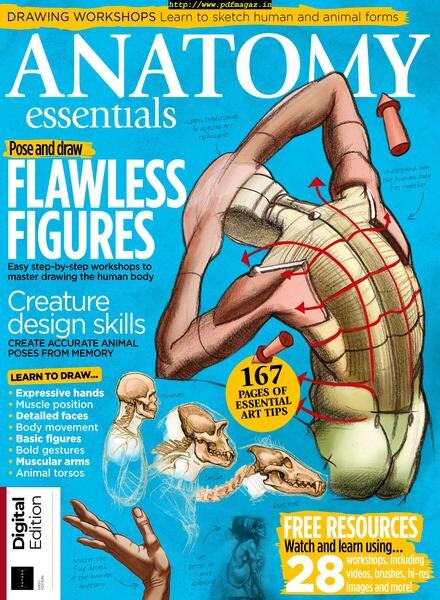 Anatomy Essentials – June 2019 Cover