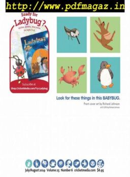 Babybug – July 2019
