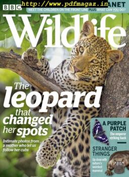 BBC Wildlife – July 2019
