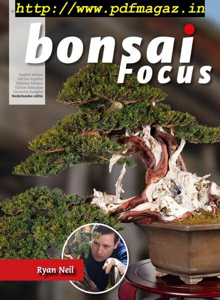 Bonsai Focus (Dutch Edition) – juli-augustus 2019 Cover