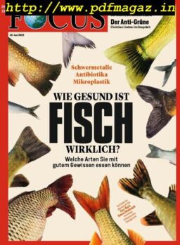 Focus – 22 Juni 2019