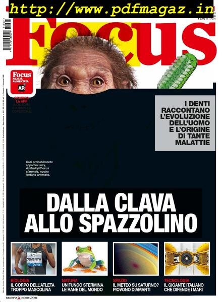 Focus Italia – luglio 2019 Cover