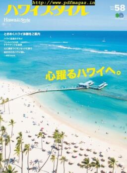 Hawaii Style – 2019-07-01