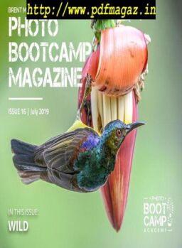 Photo BootCamp Magazine – July 2019