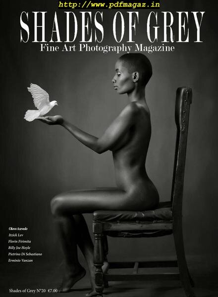 Shades of Grey – N 20, 2019 Cover