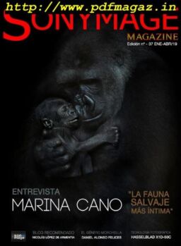 Sonymage – Enero Abril 2019