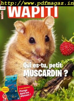 Wapiti – Aout 2019