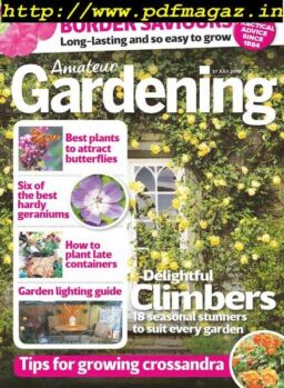 Amateur Gardening – 27 July 2019
