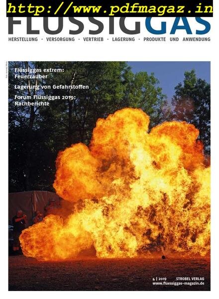 Flussiggas – August 2019 Cover