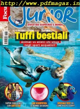 Focus Junior – agosto 2019
