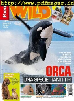 Focus Wild – agosto 2019