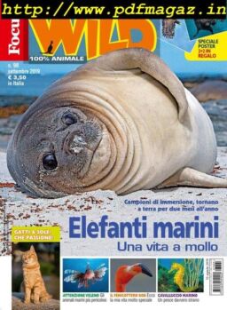 Focus Wild – settembre 2019