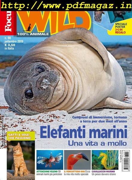 Focus Wild – settembre 2019 Cover