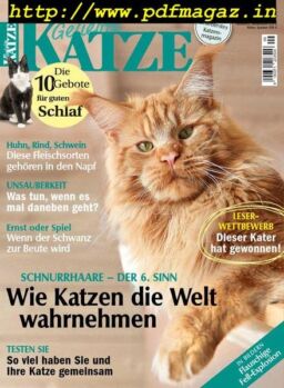 Geliebte Katze – August 2019