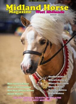 Midland Horse West Midlands – August 2019