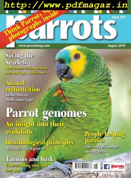 Parrots – August 2019 Cover