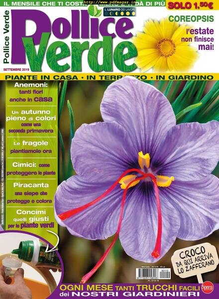 Pollice Verde – settembre 2019 Cover