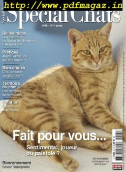Special Chats – juillet 2019