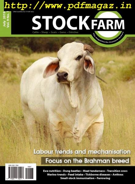 Stockfarm – July 2019 Cover