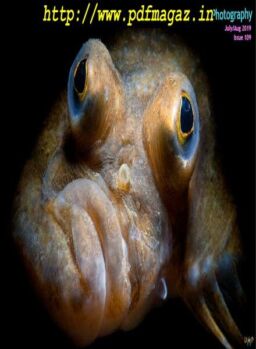 Underwater Photography – July-August 2019