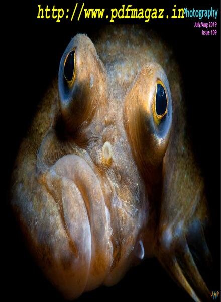 Underwater Photography – July-August 2019 Cover