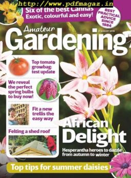 Amateur Gardening – 31 August 2019