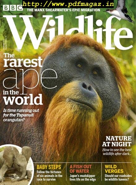 BBC Wildlife – September 2019 Cover