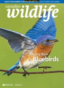 Canadian Wildlife – September-October 2019