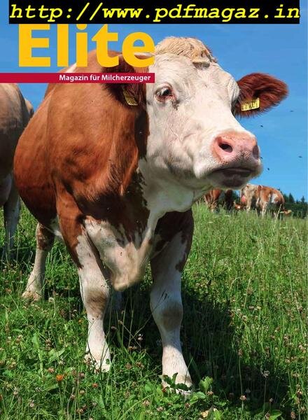Elite – September 2019 Cover