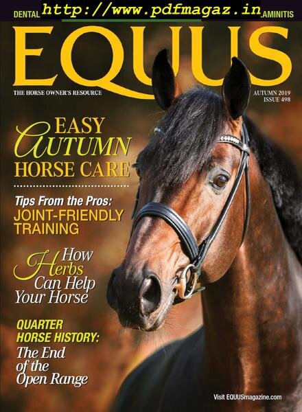 Equus – August 2019 Cover