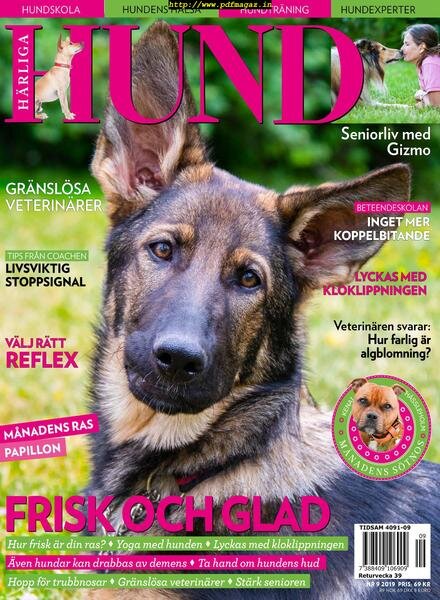 Harliga Hund – 29 augusti 2019 Cover