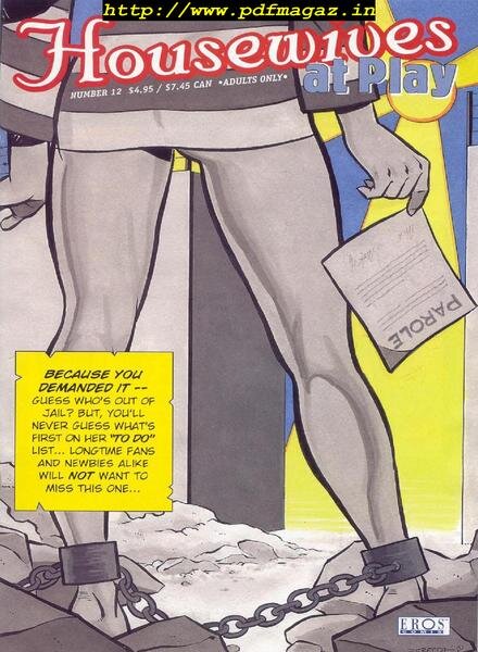 Housewives At Play – 12 Cover