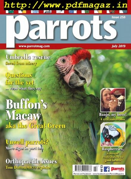 Parrots – July 2019 Cover