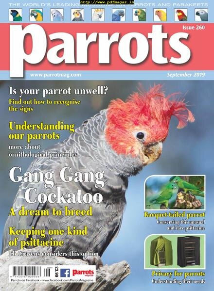 Parrots – September 2019 Cover
