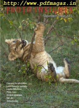 Photo Insights – September-October 2019