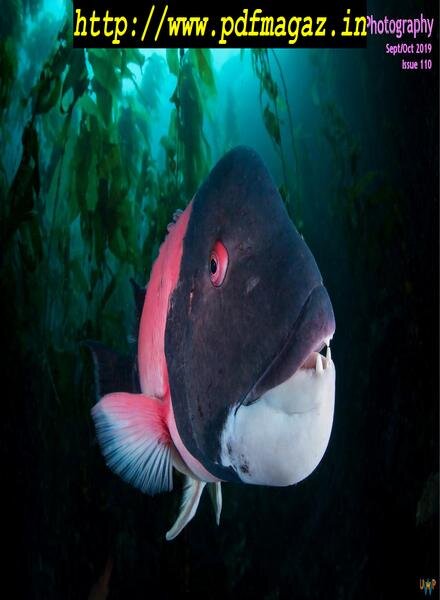 Underwater Photography – September-October 2019 Cover
