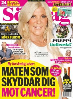 Aftonbladet SOndag – 29 september 2019