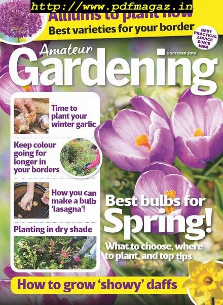 Amateur Gardening – 05 October 2019 Cover