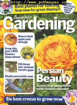 Amateur Gardening – 07 September 2019