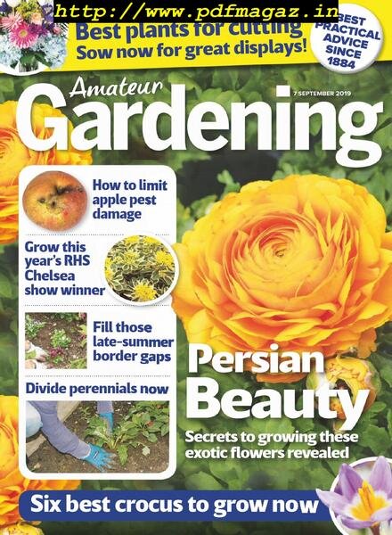 Amateur Gardening – 07 September 2019 Cover