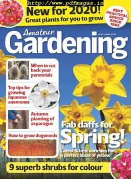 Amateur Gardening – 19 October 2019