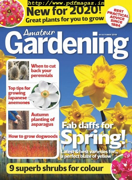 Amateur Gardening – 19 October 2019 Cover
